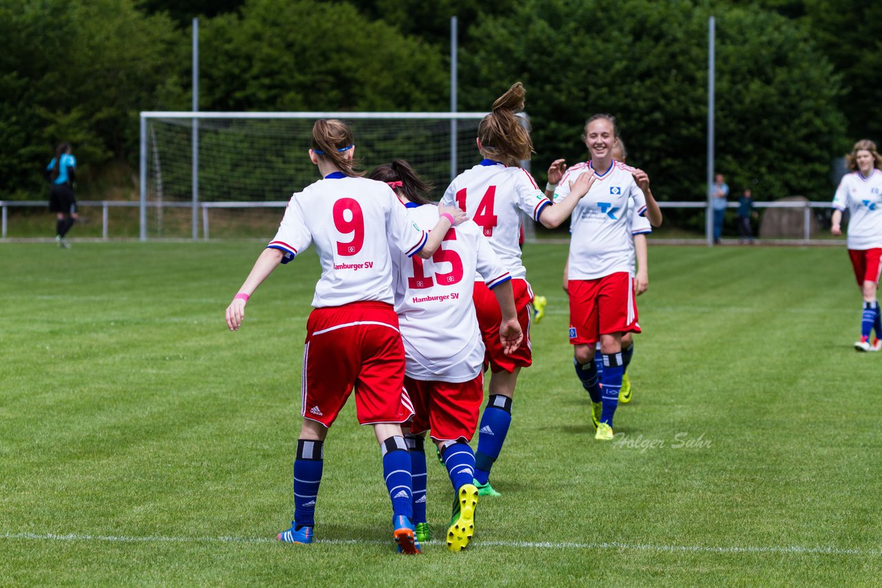 Bild 174 - B-Juniorinnen FFC Oldesloe - Hamburger SV : Ergebnis: 2:8